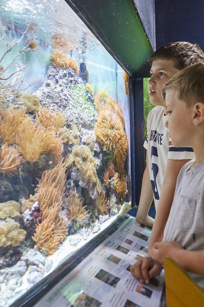 Musée d'Histoire naturelle. Crédit photo : Pierre-Laurent Barroo